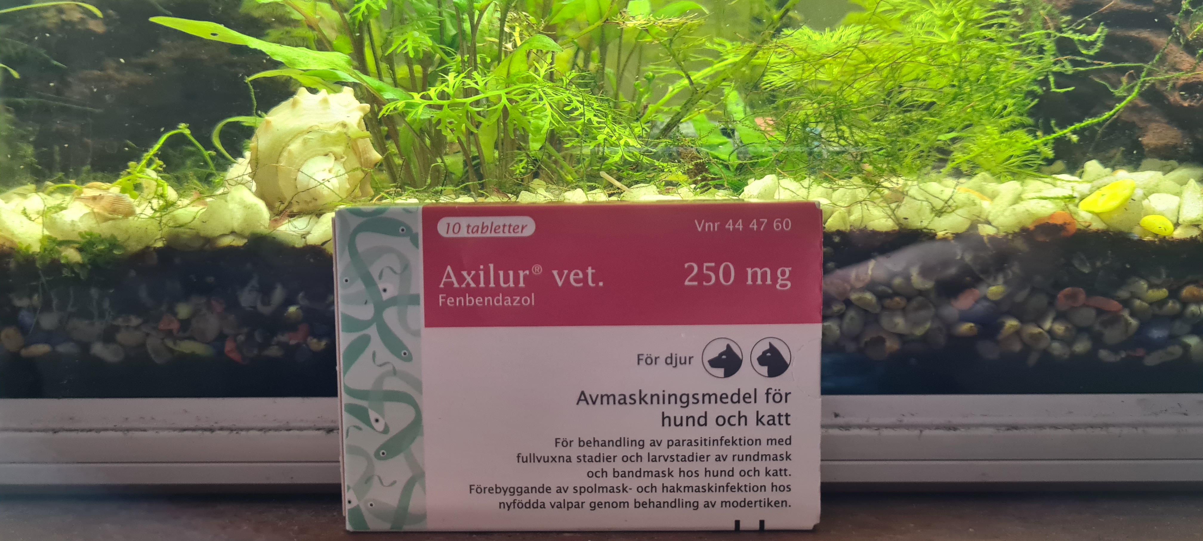 Dewormer with fenbendazole