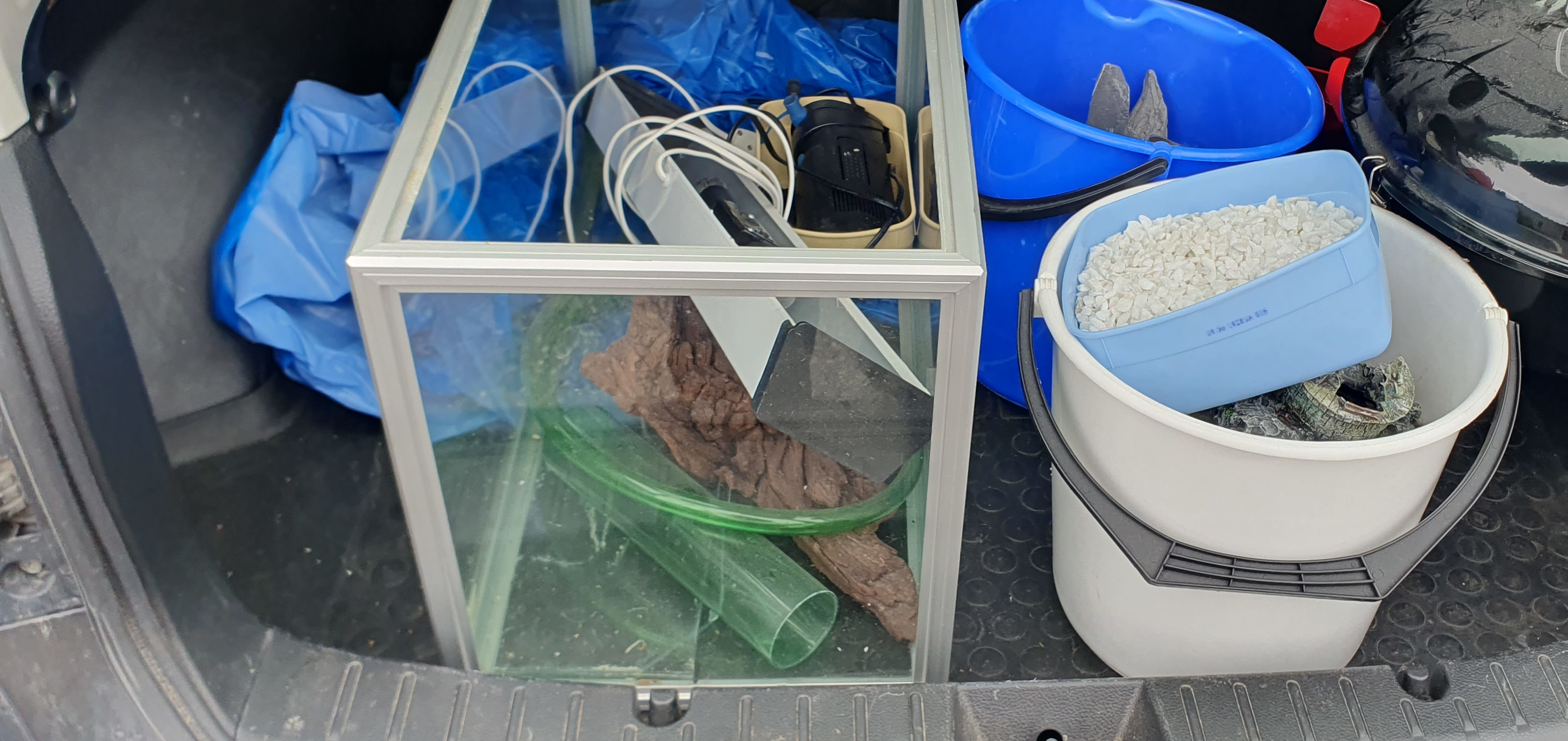 aquarium kit in the boot of my car